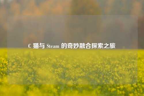 C 猫与 Steam 的奇妙融合探索之旅