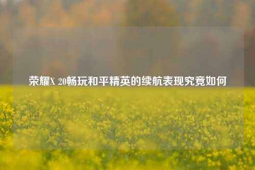 荣耀X 20畅玩和平精英的续航表现究竟如何