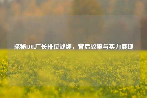 探秘LOL厂长排位战绩,背后故事与实力展现