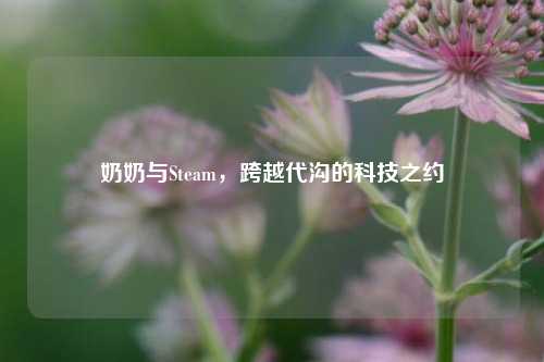 奶奶与Steam,跨越代沟的科技之约