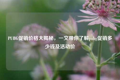 PUBG促销价格大揭秘,一文带你了解pubg促销多少钱及活动价
