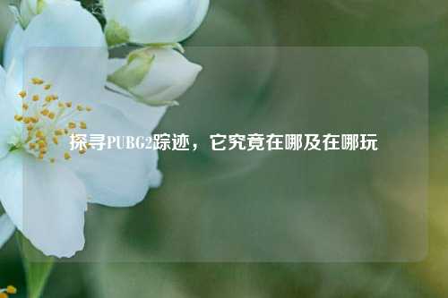 探寻PUBG2踪迹,它究竟在哪及在哪玩