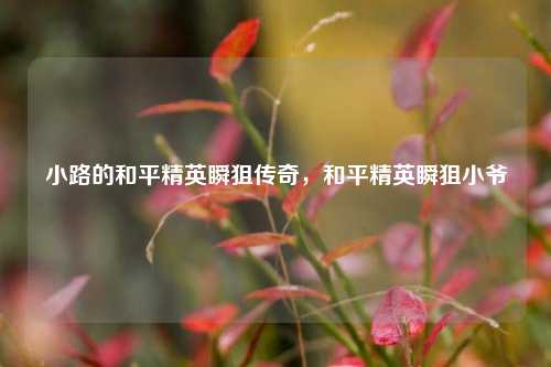 小路的和平精英瞬狙传奇,和平精英瞬狙小爷