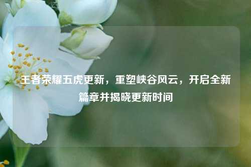 王者荣耀五虎更新,重塑峡谷风云,开启全新篇章并揭晓更新时间