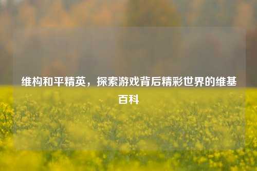 维构和平精英,探索游戏背后精彩世界的