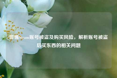 警惕Steam账号被盗及购买风险,解析账号被盗后买东西的相关问题