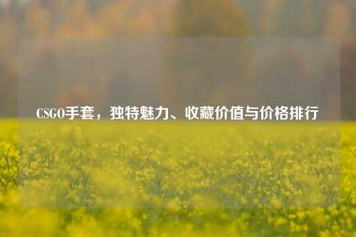 CSGO手套,独特魅力、收藏价值与价格排行