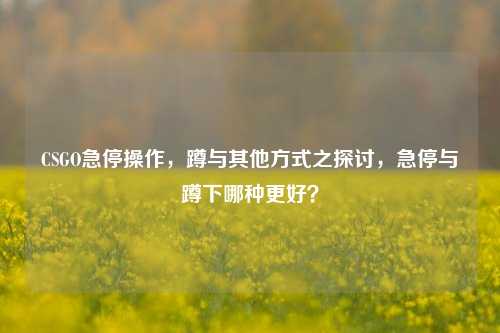 CSGO急停操作,蹲与其他方式之探讨,急停与蹲下哪种更好?