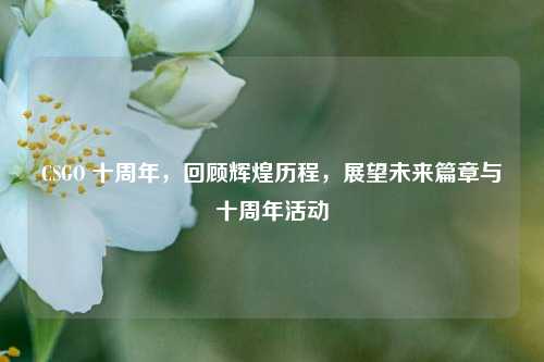 CSGO 十周年,回顾辉煌历程,展望未来篇章与十周年活动
