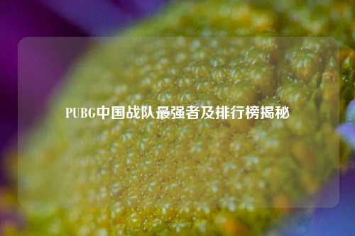 PUBG中国战队最强者及排行榜揭秘