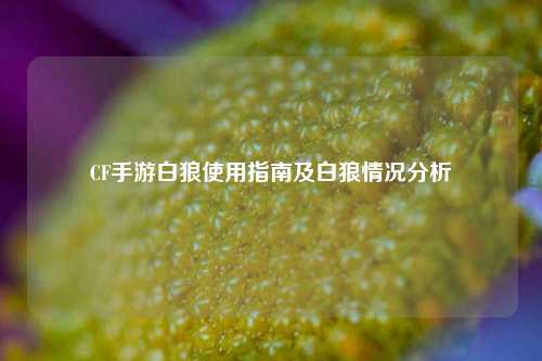 CF手游白狼使用指南及白狼情况分析
