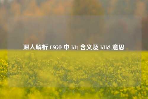 深入解析 CSGO 中 b1t 含义及 b1b2 意思
