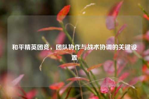 和平精英团竞,团队协作与战术协调的关键设置