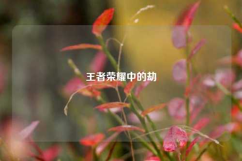 王者荣耀中的劫