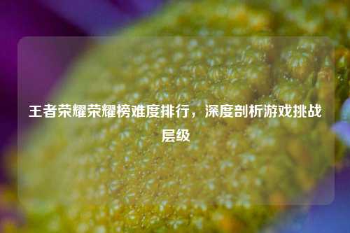 王者荣耀荣耀榜难度排行,深度剖析游戏挑战层级