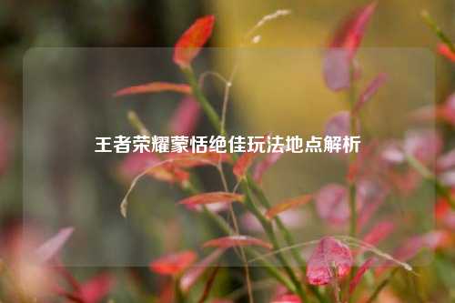 王者荣耀蒙恬绝佳玩法地点解析