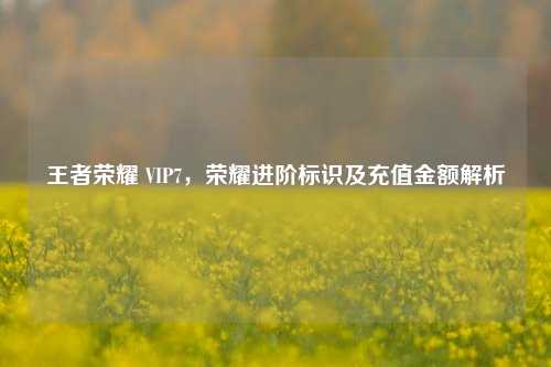 王者荣耀 VIP7,荣耀进阶标识及充值金额解析