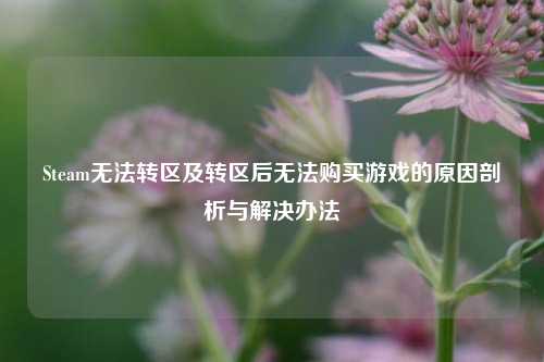 Steam无法转区及转区后无法购买游戏的原因剖析与解决办法