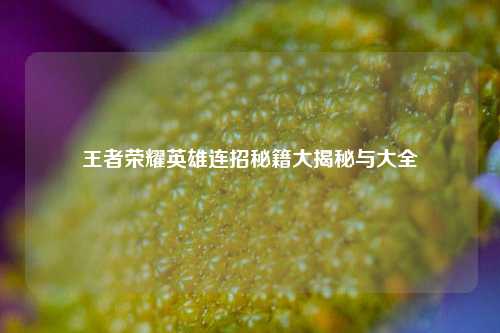 王者荣耀英雄连招秘籍大揭秘与大全