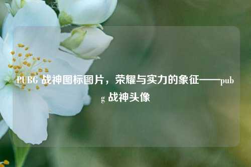 PUBG 战神图标图片,荣耀与实力的象征——pubg 战神头像