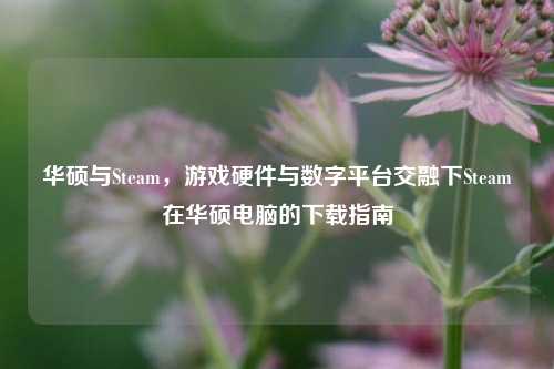 华硕与Steam,游戏硬件与数字平台交融下Steam在华硕电脑的下载指南