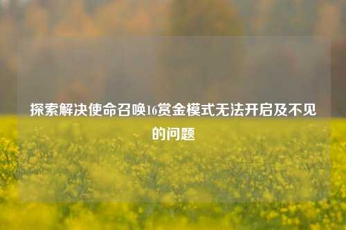 探索解决使命召唤16赏金模式无法开启及不见的问题