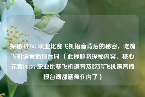 探秘 PUBG 职业比赛飞机语音背后的秘密,吃鸡飞机语音播报台词 (此标题将探秘内容、核心元素PUBG 职业比赛飞机语音及吃鸡飞机语音播报台词都涵盖在内了)