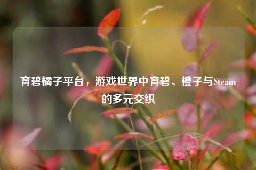育碧橘子平台,游戏世界中育碧、橙子与Steam的多元交织