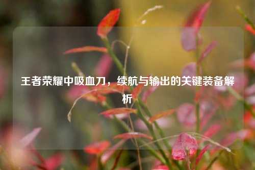 王者荣耀中吸血刀,续航与输出的关键装备解析