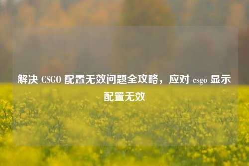 解决 CSGO 配置无效问题全攻略,应对 csgo 显示配置无效