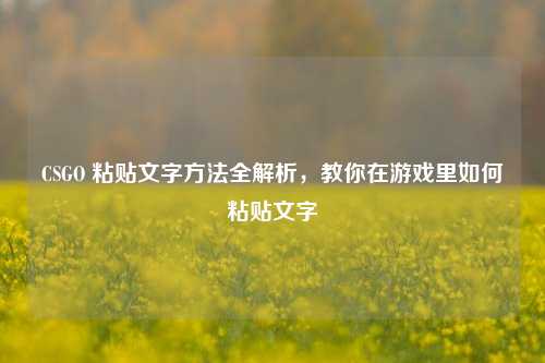 CSGO 粘贴文字 全解析,教你在游戏里如何粘贴文字