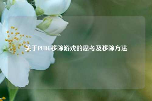关于PUBG移除游戏的思考及移除