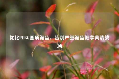 优化PUBG画质锯齿,告别严重锯齿畅享高清战场