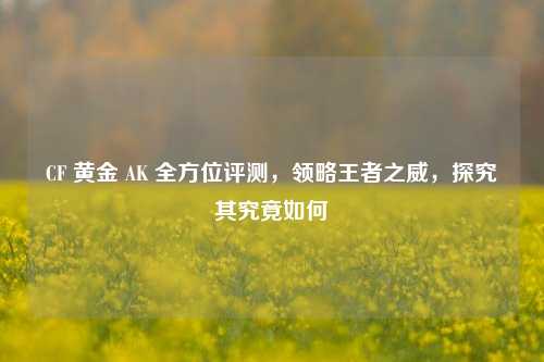 CF 黄金 AK 全方位评测,领略王者之威,探究其究竟如何