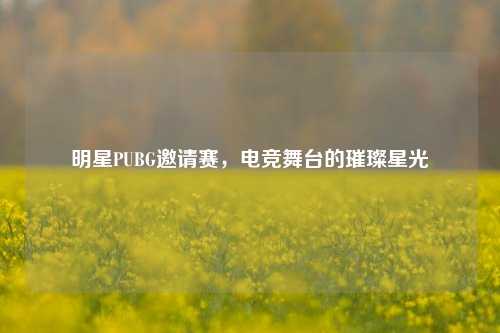 明星PUBG邀请赛,电竞舞台的璀璨星光