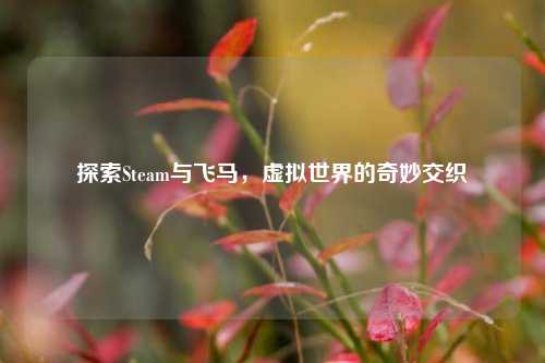 探索Steam与飞马,虚拟世界的奇妙交织