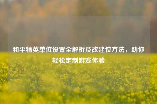 和平精英单位设置全解析及改建位 ,助你轻松定制游戏体验