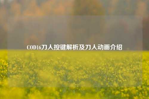 COD16刀人按键解析及刀人动画介绍