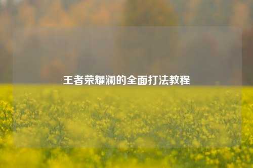 王者荣耀澜的全面打法教程