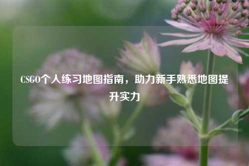 CSGO个人练习地图指南,助力新手熟悉地图提升实力