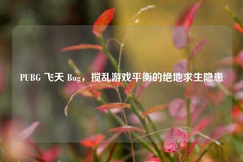 PUBG 飞天 Bug,搅乱游戏平衡的绝地求生隐患