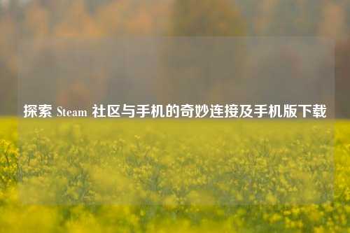 探索 Steam 社区与手机的奇妙连接及手机版下载