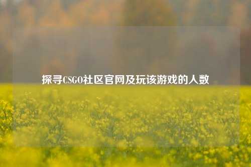 探寻CSGO社区官网及玩该游戏的人数