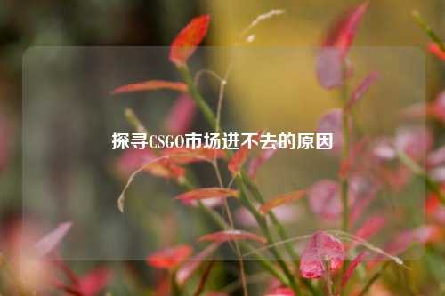 探寻CSGO市场进不去的原因