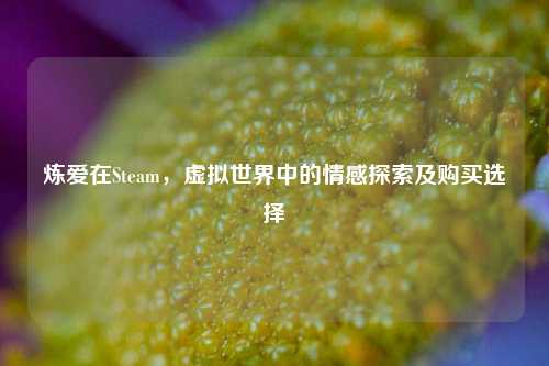 炼爱在Steam,虚拟世界中的情感探索及购买选择