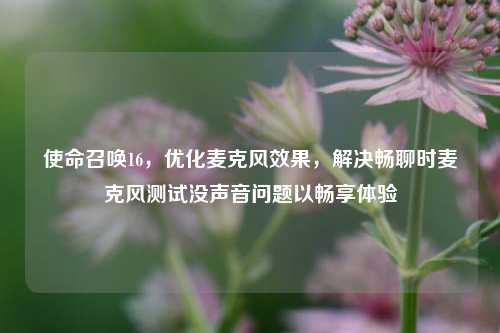 使命召唤16,优化麦克风效果,解决畅聊时麦克风测试没声音问题以畅享体验