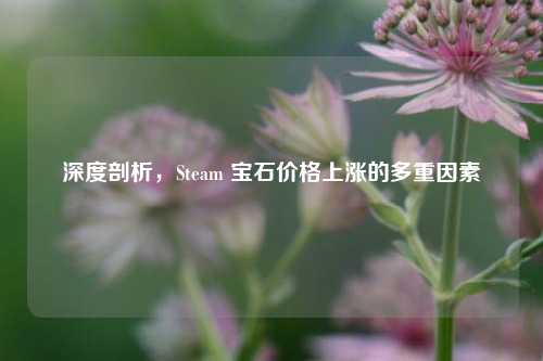 深度剖析,Steam 宝石价格上涨的多重因素