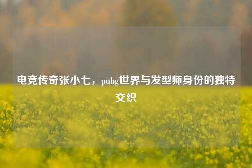 电竞传奇张小七,pubg世界与发型师身份的独特交织