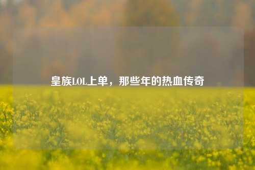 皇族LOL上单,那些年的热血传奇
