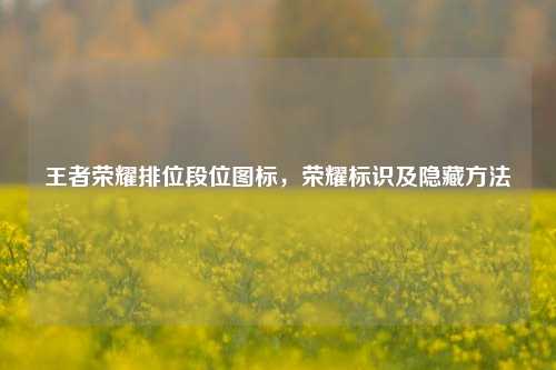 王者荣耀排位段位图标,荣耀标识及隐藏